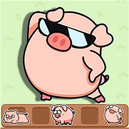 Catch The Pig